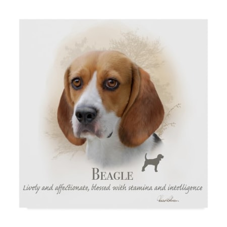 Howard Robinson 'Beagle' Canvas Art,35x35